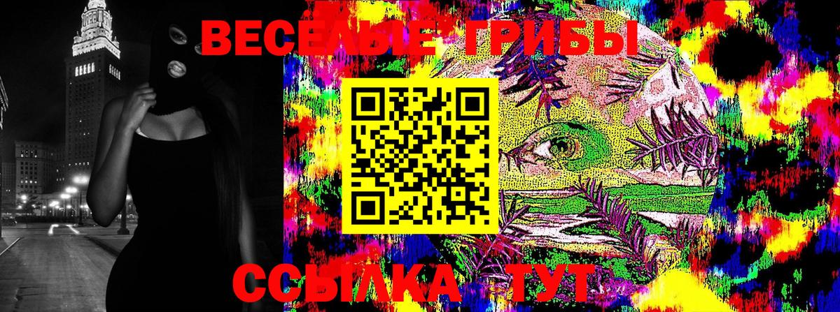 Галлюциногенные грибы Psilocybine cubensis Брянск