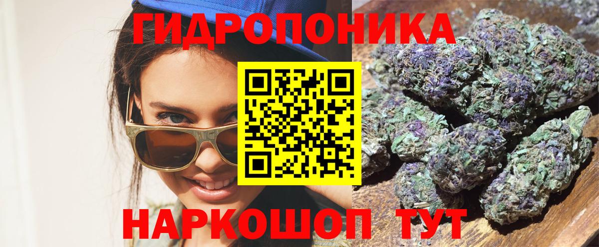 Каннабис план  МАРИХУАНА индика  Бошки марихуана THC 21%  Брянск  МАРИХУАНА индика  Вход с VPN 